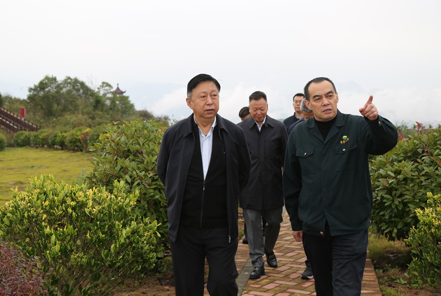 19-2021年10月，原國(guó)土資源部副部長(zhǎng)汪民蒞臨公司調(diào)研。.jpg