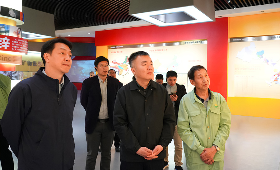 10.4-2024年04月，自然資源部礦保司副司長(zhǎng)王博蒞臨公司調(diào)研。.jpg
