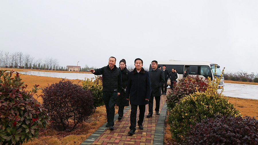 45-2020年12月，省高級(jí)人民法院黨組成員、副院長(zhǎng)任建國(guó)蒞臨金徽股份調(diào)研知識(shí)產(chǎn)權(quán)司法保護(hù)工作。.jpg
